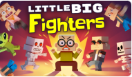 Little Big Fighters